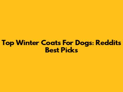 Top Winter Coats For Dogs: Reddit's Best Picks