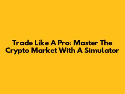 Trade Like A Pro: Master The Crypto Market With A Simulator