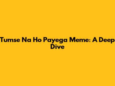 Tumse Na Ho Payega Meme: A Deep Dive