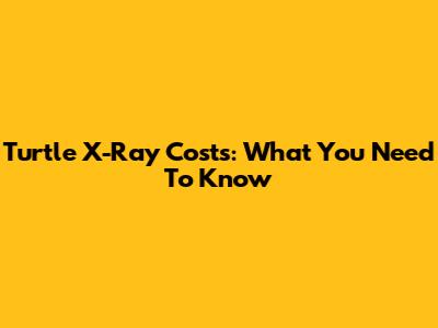 Turtle X-Ray Costs: What You Need To Know