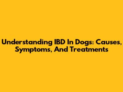 Understanding IBD In Dogs: Causes, Symptoms, And Treatments