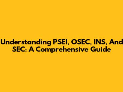 Understanding PSEI, OSEC, INS, And SEC: A Comprehensive Guide