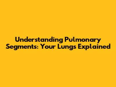 Understanding Pulmonary Segments: Your Lungs Explained