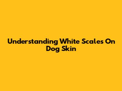 Understanding White Scales On Dog Skin