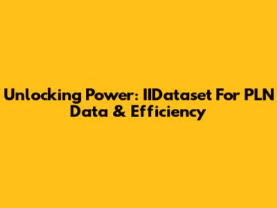 Unlocking Power: IIDataset For PLN Data & Efficiency