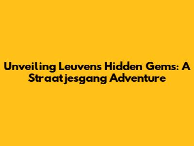 Unveiling Leuven's Hidden Gems: A Straatjesgang Adventure