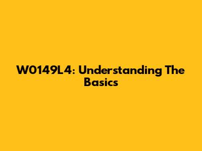 W0149L4: Understanding The Basics