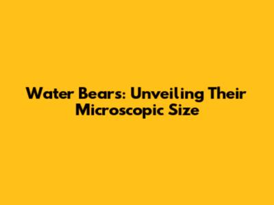 Water Bears: Unveiling Their Microscopic Size