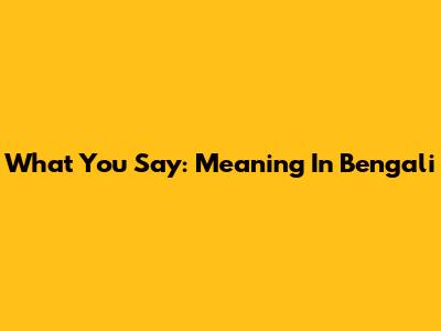 What You Say: Meaning In Bengali