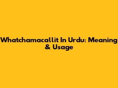 Whatchamacallit In Urdu: Meaning & Usage