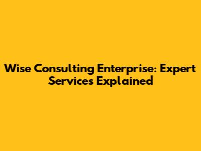Wise Consulting Enterprise: Expert Services Explained