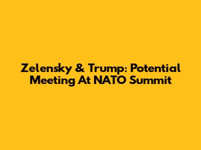 Zelensky & Trump: Potential Meeting At NATO Summit