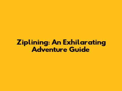 Ziplining: An Exhilarating Adventure Guide
